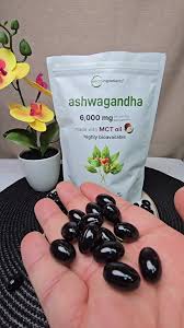ASHWAGANDHA KSM-66 + GLICINATO DE MAGNESIO